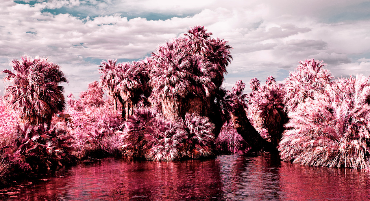 MOUNTAINS AND BY THE SHORE
